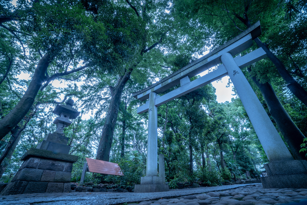 神社本庁とは